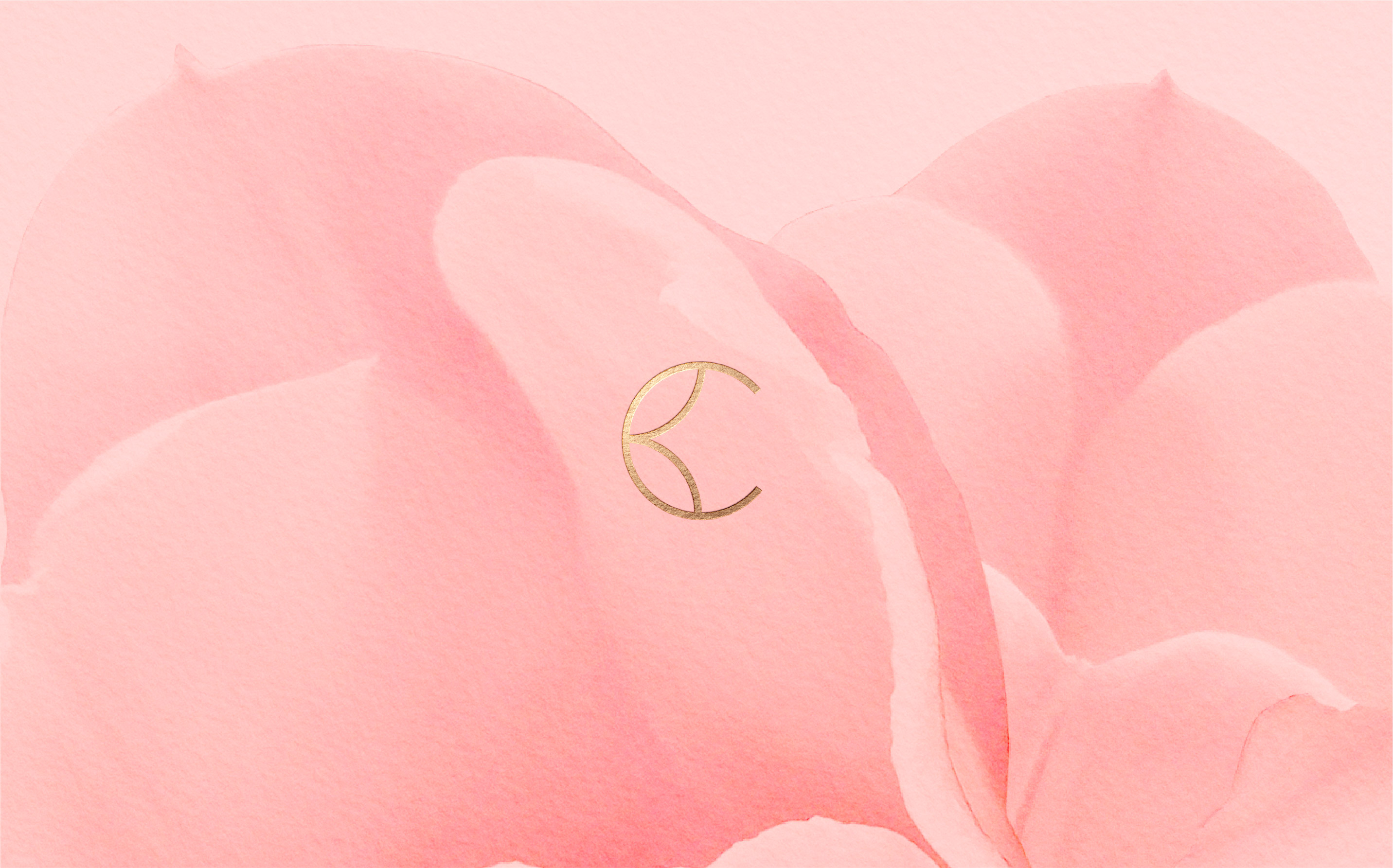 beau-code-salon-beauty-design-logo-sydney-8